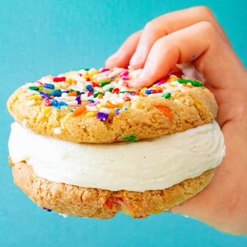 Home Dasher and Crank Best Ice Cream in Florida